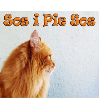 Sos i Pie Sos Steam Key GLOBAL
